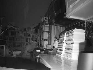 voyeurcam bridgetleewalters 02